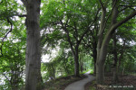 fiets- wandelpad langs de Regge